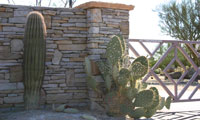 Chandler Gated Community